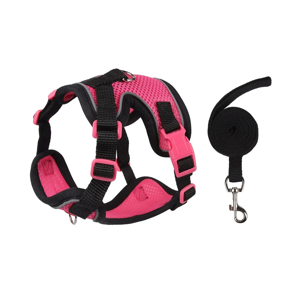 Harnais pour chien, gilet avec corde, harnais réfléchissant réglable pour animaux de compagnie, pour petits, moyens, anti-fuite, maille souple, respirant, marche, course à pied