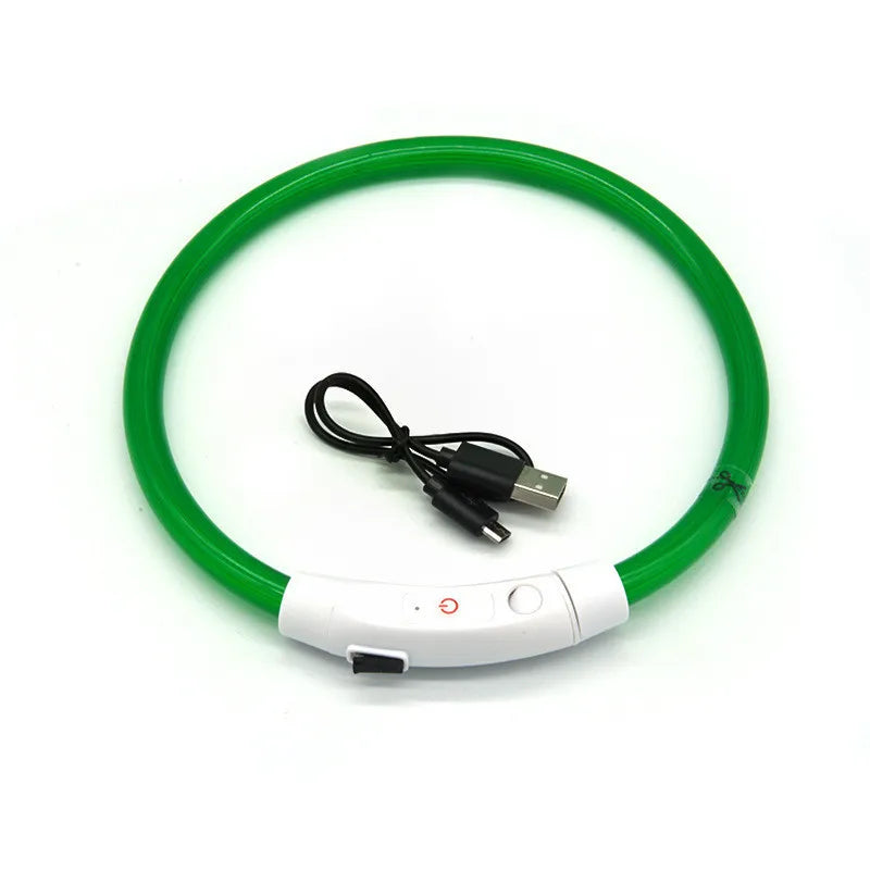 Collier LED rechargeable USB – Sécurité nocturne pour chiens & chats, anti-perte