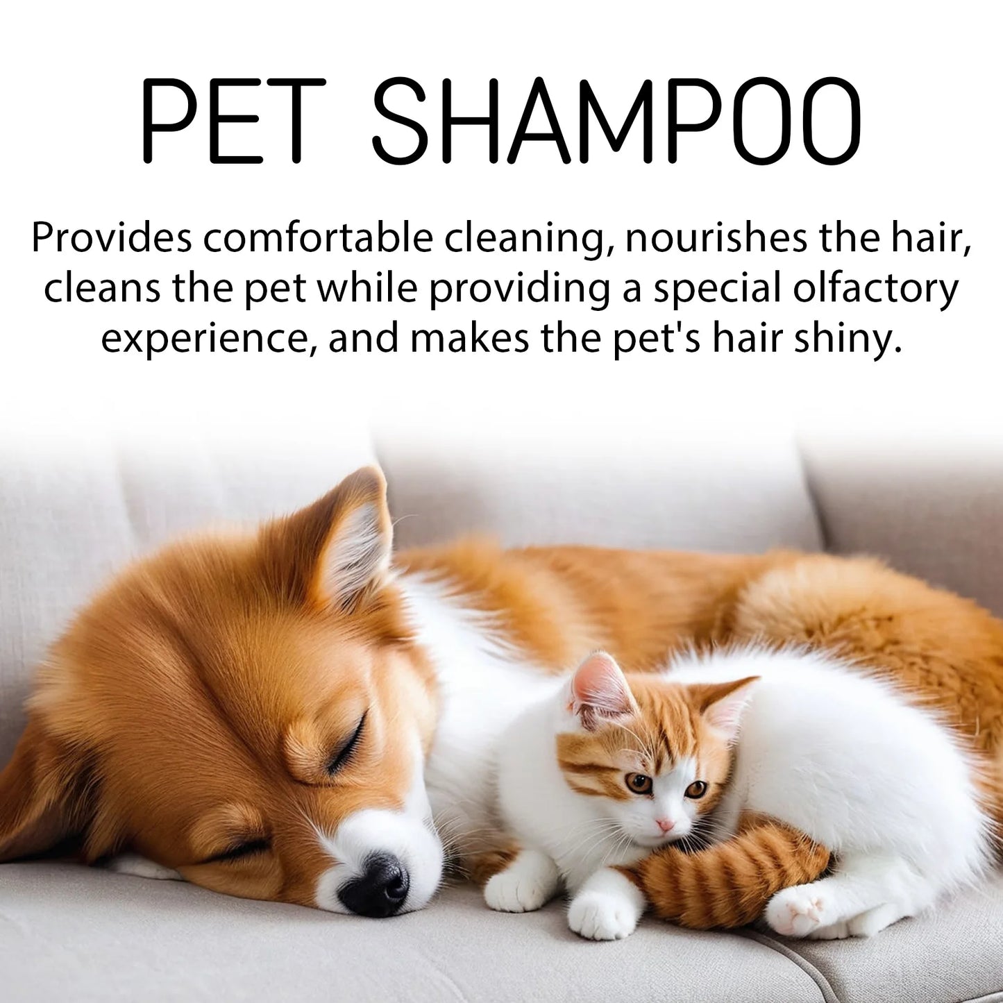 Shampoing pour animaux de compagnie, Gel douche pour chats et chiens, déodorant nettoyant doux, Anti-démangeaison, parfum longue durée, fournitures de soins pour animaux de compagnie, produits
