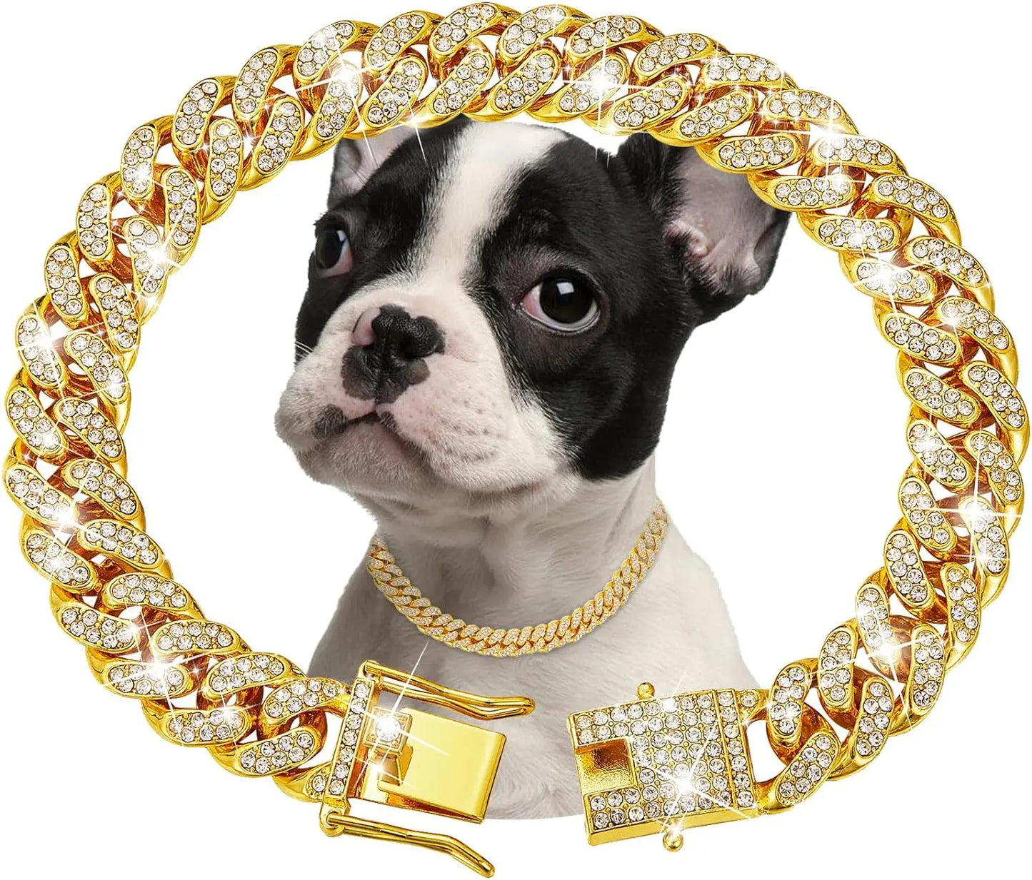 Collier Chaîne Doré de Luxe pour Chien – Résistant & Élégant