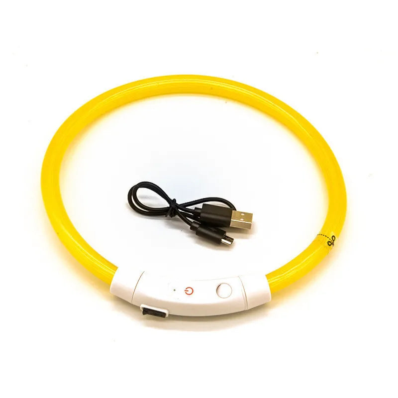 Collier LED rechargeable USB – Sécurité nocturne pour chiens & chats, anti-perte