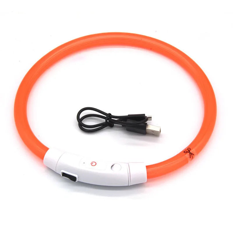 Collier LED rechargeable USB – Sécurité nocturne pour chiens & chats, anti-perte