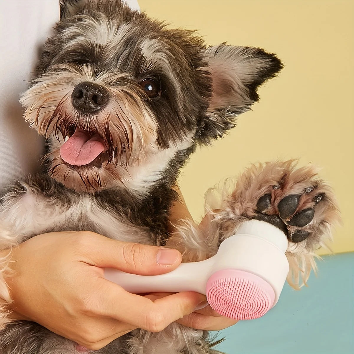 Nettoyeur de pattes et brosse de massage en silicone - accessoires 2 en 1 pour chien