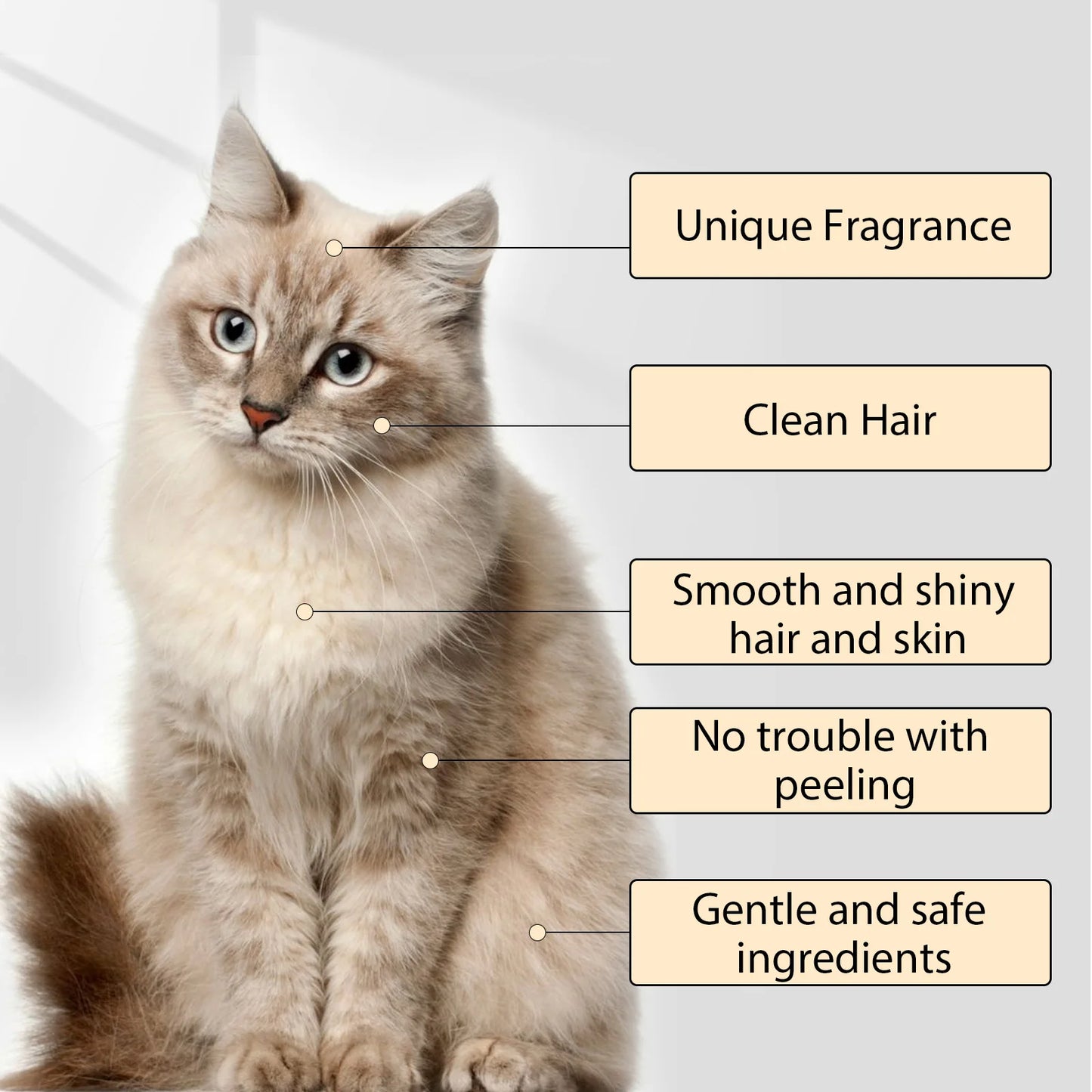 Shampoing pour animaux de compagnie, Gel douche pour chats et chiens, déodorant nettoyant doux, Anti-démangeaison, parfum longue durée, fournitures de soins pour animaux de compagnie, produits