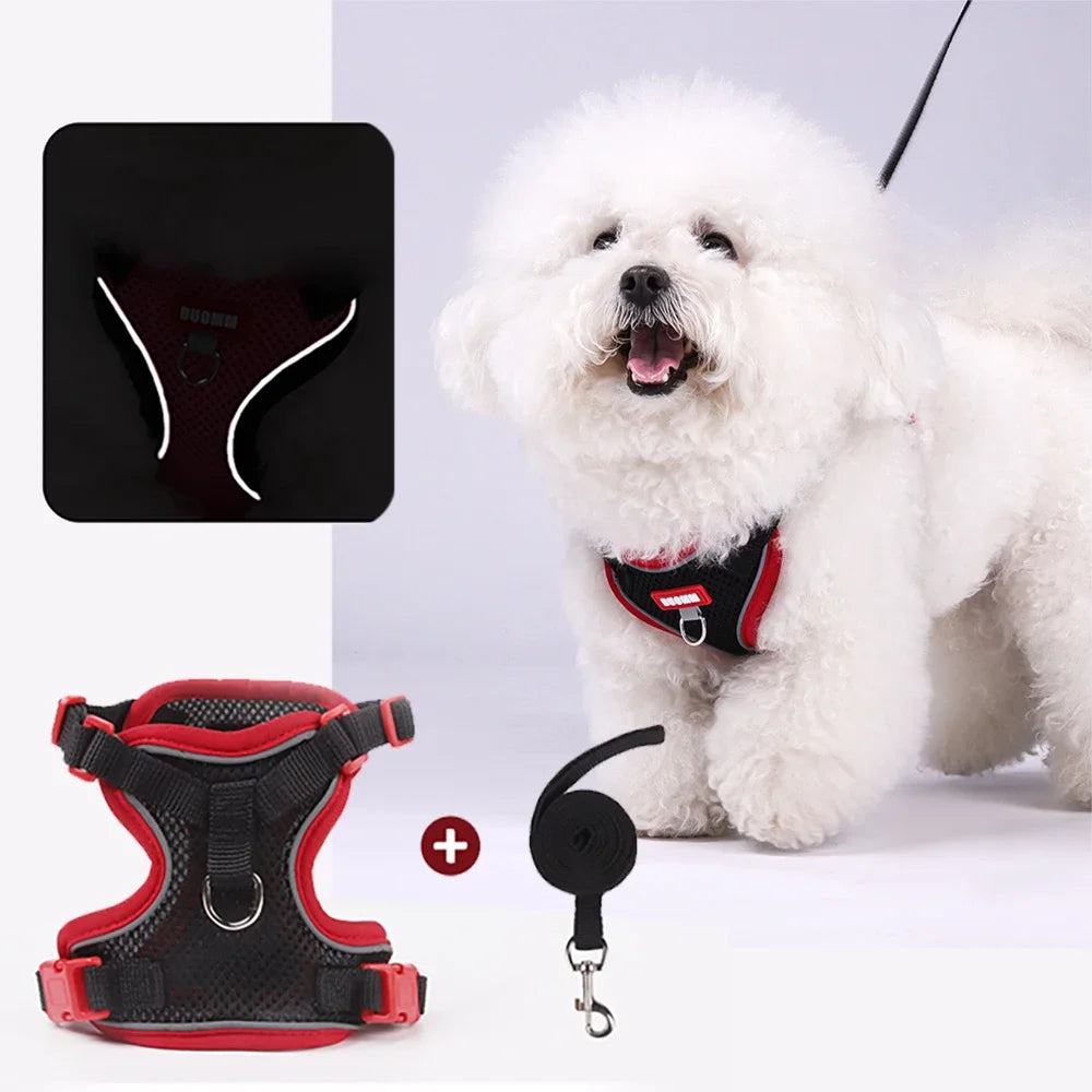 Harnais pour chien, gilet avec corde, harnais réfléchissant réglable pour animaux de compagnie, pour petits, moyens, anti-fuite, maille souple, respirant, marche, course à pied
