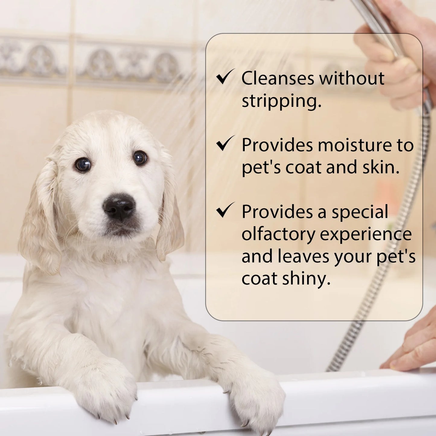 Shampoing pour animaux de compagnie, Gel douche pour chats et chiens, déodorant nettoyant doux, Anti-démangeaison, parfum longue durée, fournitures de soins pour animaux de compagnie, produits