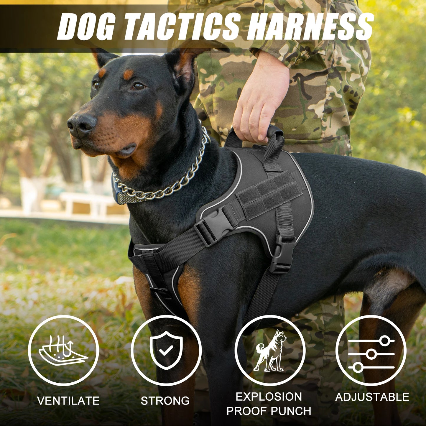 Harnais tactique pour chien – Gilet d’entraînement robuste avec poignée & attaches solides