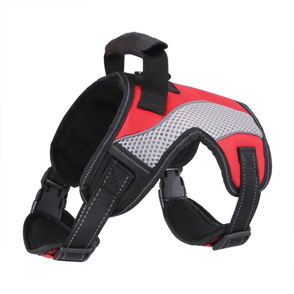 Harnais réglable en nylon pour grands chiens – Sécurité et confort tous temps