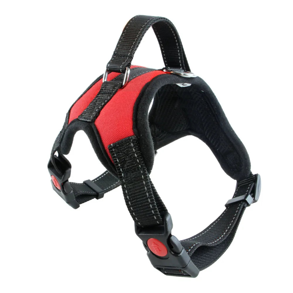 Harnais réglable en nylon pour grands chiens – Sécurité et confort tous temps