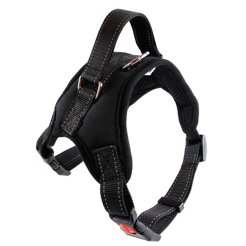 Harnais réglable en nylon pour grands chiens – Sécurité et confort tous temps