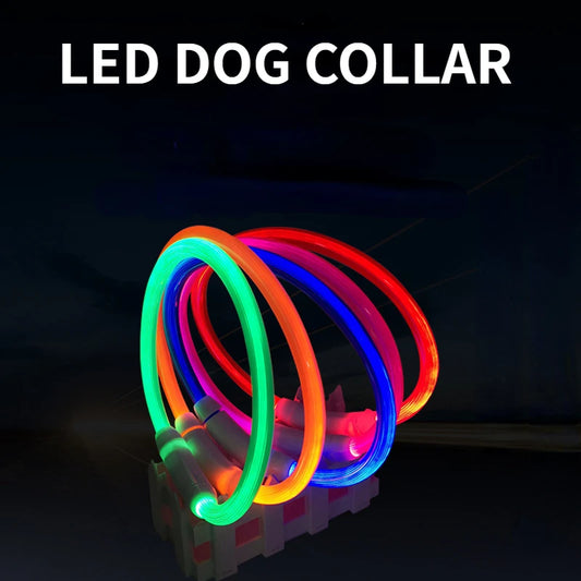 Collier LED rechargeable USB – Sécurité nocturne pour chiens & chats, anti-perte