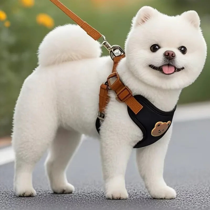 Ensemble harnais + laisse respirant – Pour petits & moyens chiens (Chihuahua, Bouledogue, Chiot)