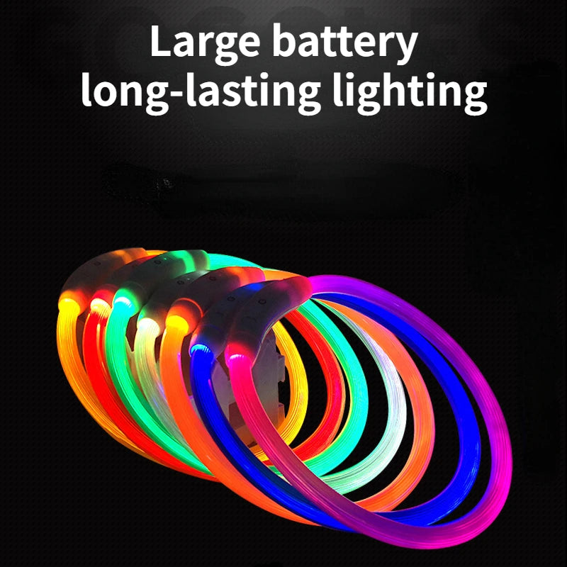 Collier LED rechargeable USB – Sécurité nocturne pour chiens & chats, anti-perte