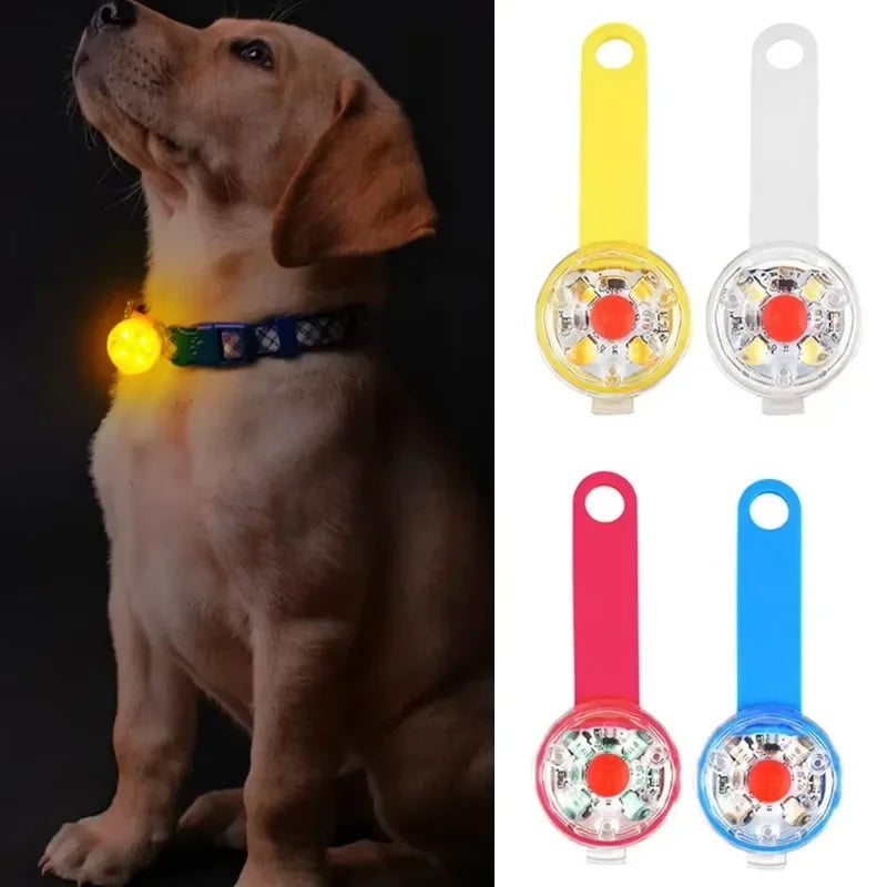 Collier pour chien, collier de perte, lumière de sécurité LED résistante aux intempéries, collier lumineux LED rechargeable par USB, chien, chat, animal de compagnie