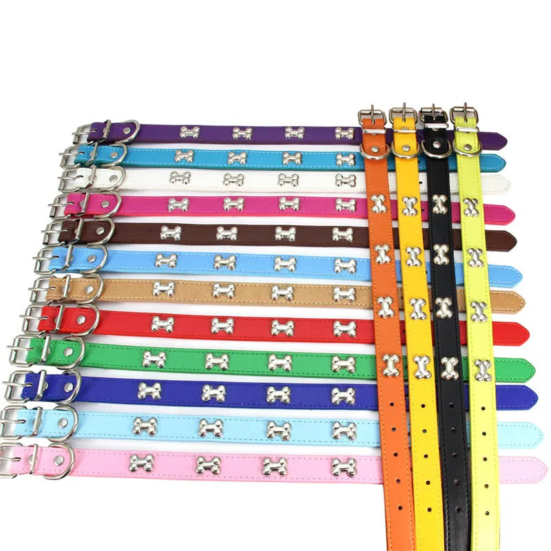 Collier pour Chien en Cuir avec Breloque Os – Durable, Confortable et Coloré