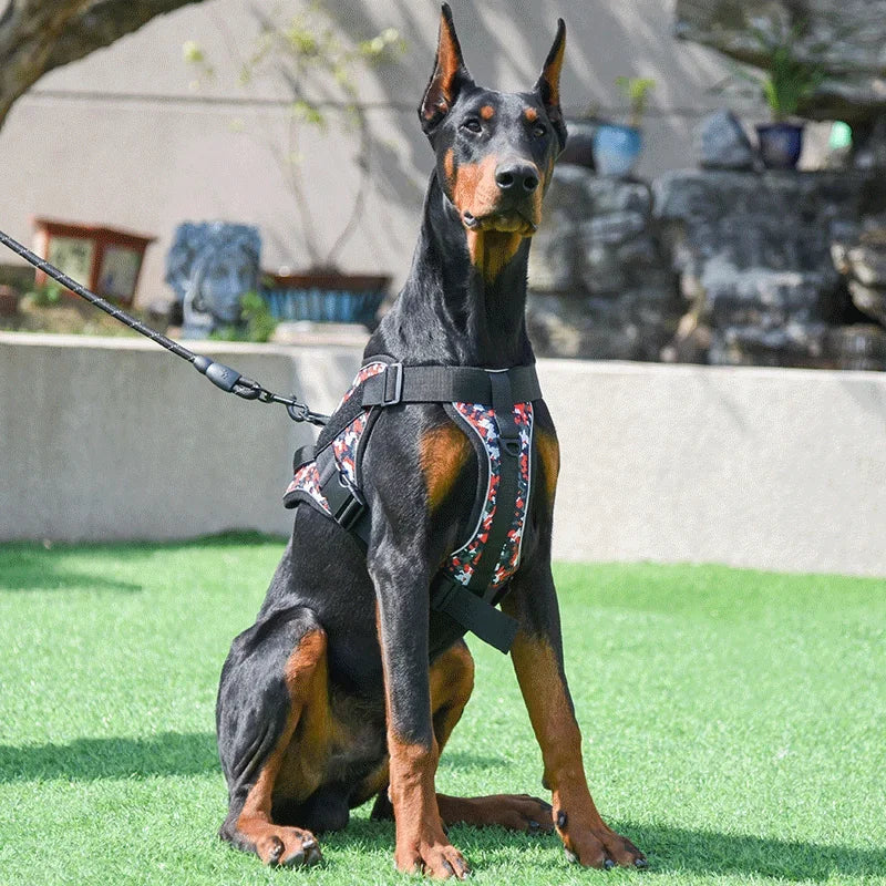 Harnais tactique personnalisé pour chien, étiquettes nominatives personnalisées, sans traction, respirant, réglable, pour chien de taille moyenne et grande