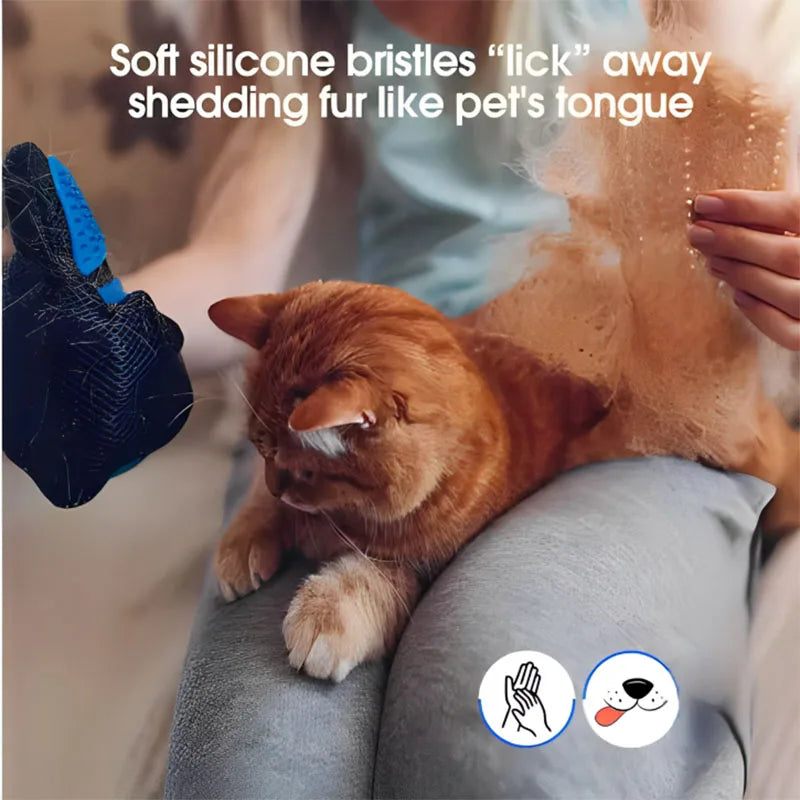 Gant de toilettage pour chien & chat – Retire les poils morts et masse en douceur