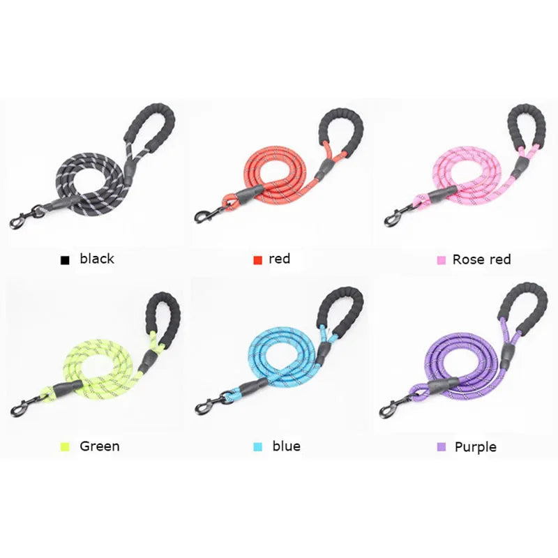 Laisse pour chien 1,5 m – Poignée rembourrée & bandes réfléchissantes, confort et sécurité