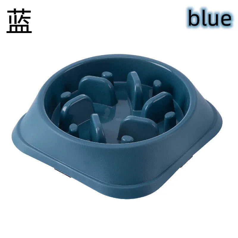Gamelle Anti-Glouton Colorée pour Chiens – Formes Originales et Base Antidérapante