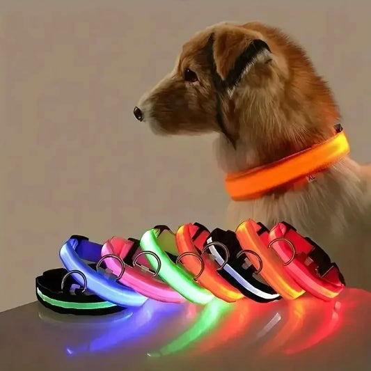 Collier LED lumineux pour chien, sécurité, marche nocturne, clignotant, lueur dans la nuit, collier à batterie pour chien, petit, moyen et grand chien