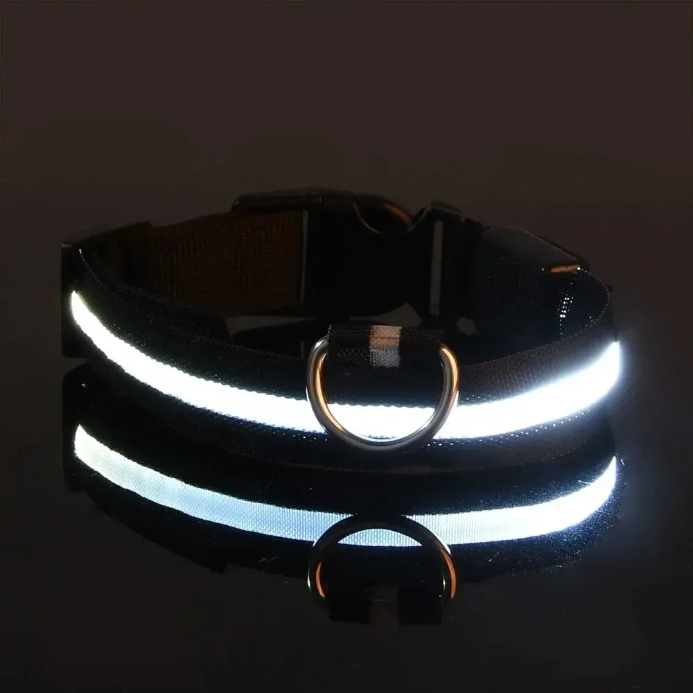 Collier LED lumineux pour chien, sécurité, marche nocturne, clignotant, lueur dans la nuit, collier à batterie pour chien, petit, moyen et grand chien
