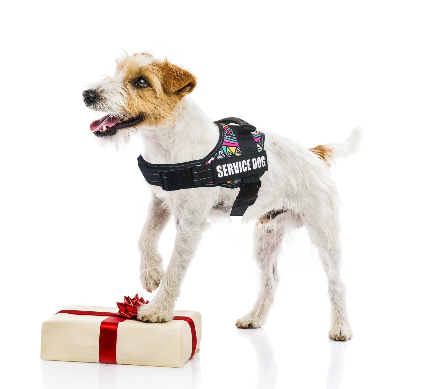 Harnais de Service pour chien préféré et gilet de soutien émotionnel avec patchs réfléchissants amovibles pour chiot de grande et moyenne taille
