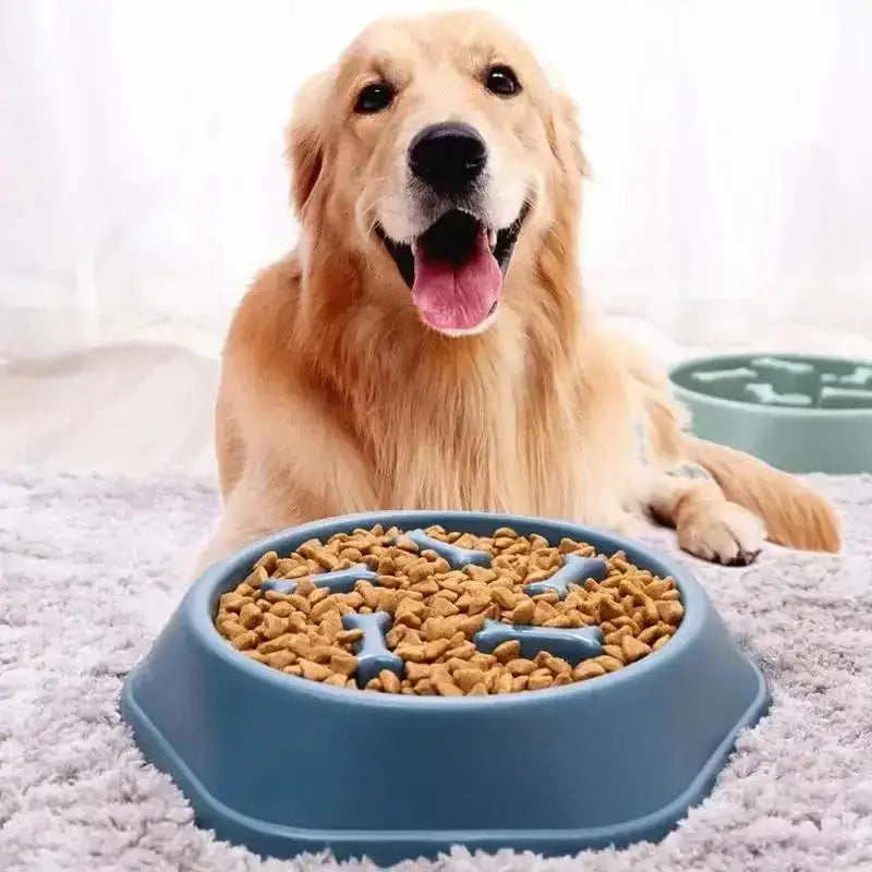 Gamelle Anti-Glouton pour Chiens – Mangeoire Lente & Anti-Étouffement