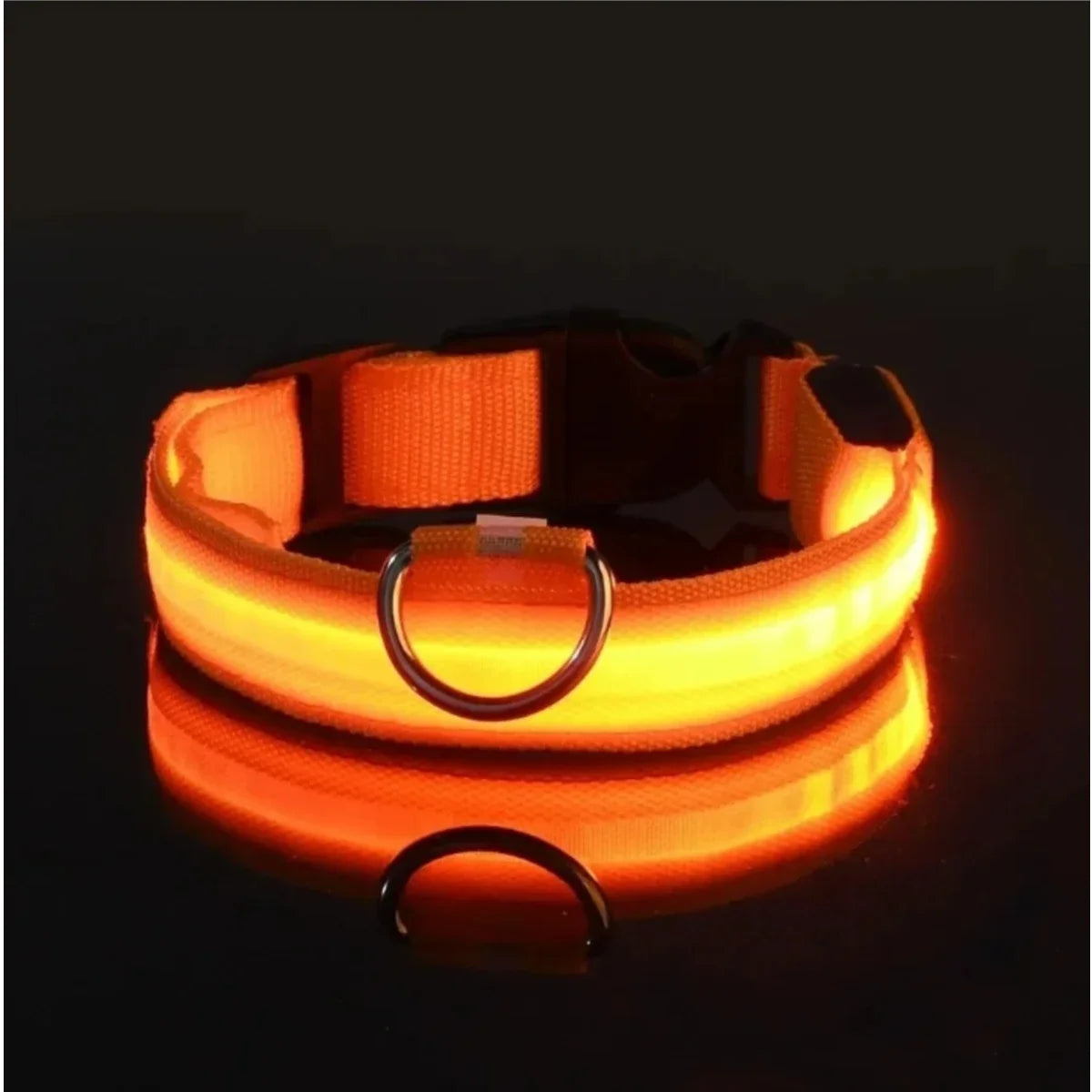 Collier LED lumineux pour chien, sécurité, marche nocturne, clignotant, lueur dans la nuit, collier à batterie pour chien, petit, moyen et grand chien