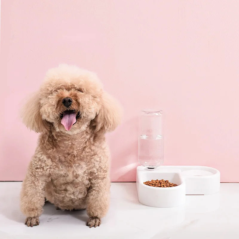 Gamelle Double avec Distributeur d’Eau Automatique – Bol 2-en-1 pour Chien