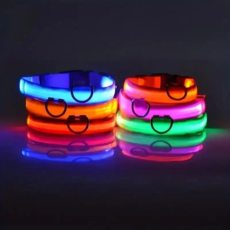 Collier LED lumineux pour chien, sécurité, marche nocturne, clignotant, lueur dans la nuit, collier à batterie pour chien, petit, moyen et grand chien