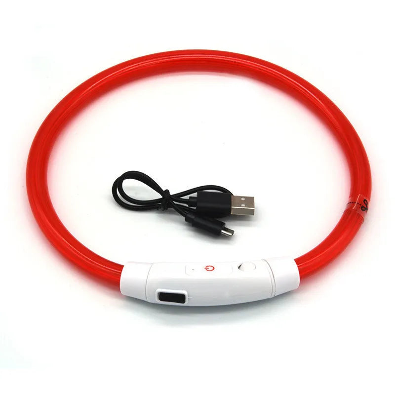 Collier LED rechargeable USB – Sécurité nocturne pour chiens & chats, anti-perte