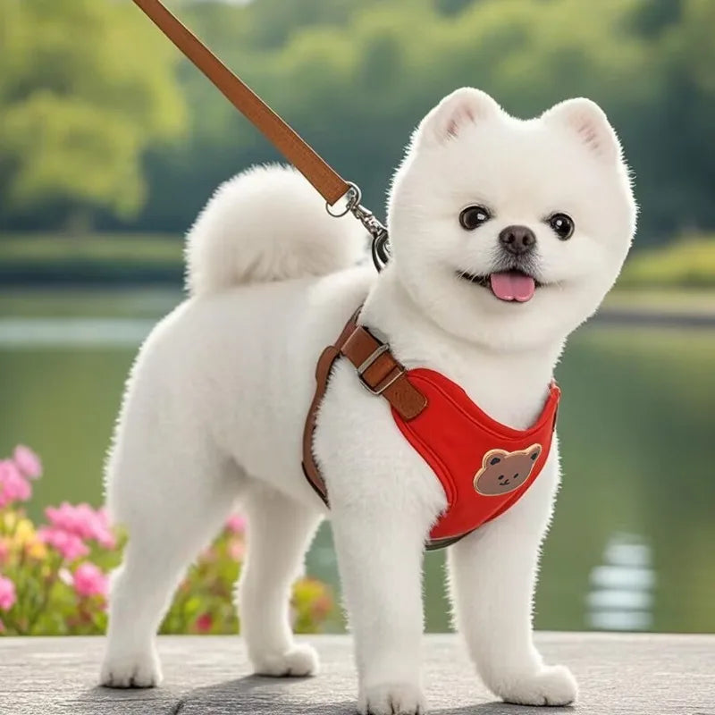 Ensemble harnais + laisse respirant – Pour petits & moyens chiens (Chihuahua, Bouledogue, Chiot)