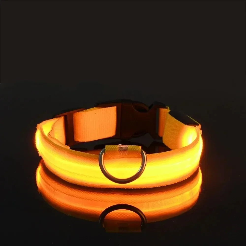 Collier LED lumineux pour chien, sécurité, marche nocturne, clignotant, lueur dans la nuit, collier à batterie pour chien, petit, moyen et grand chien