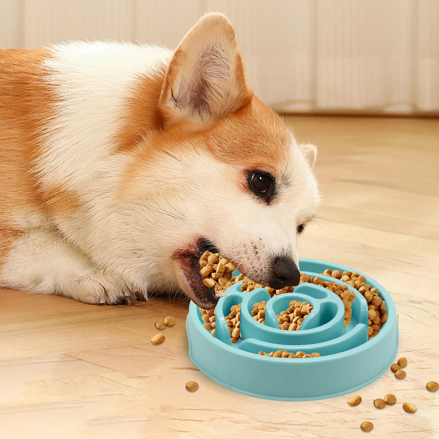 Bol Anti-Glouton pour Chien – Gamelle Antidérapante, Ralentit l’Alimentation, Évite les Ballonnements