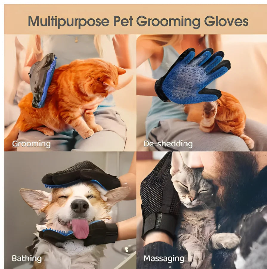 Gant de toilettage pour chien & chat – Retire les poils morts et masse en douceur