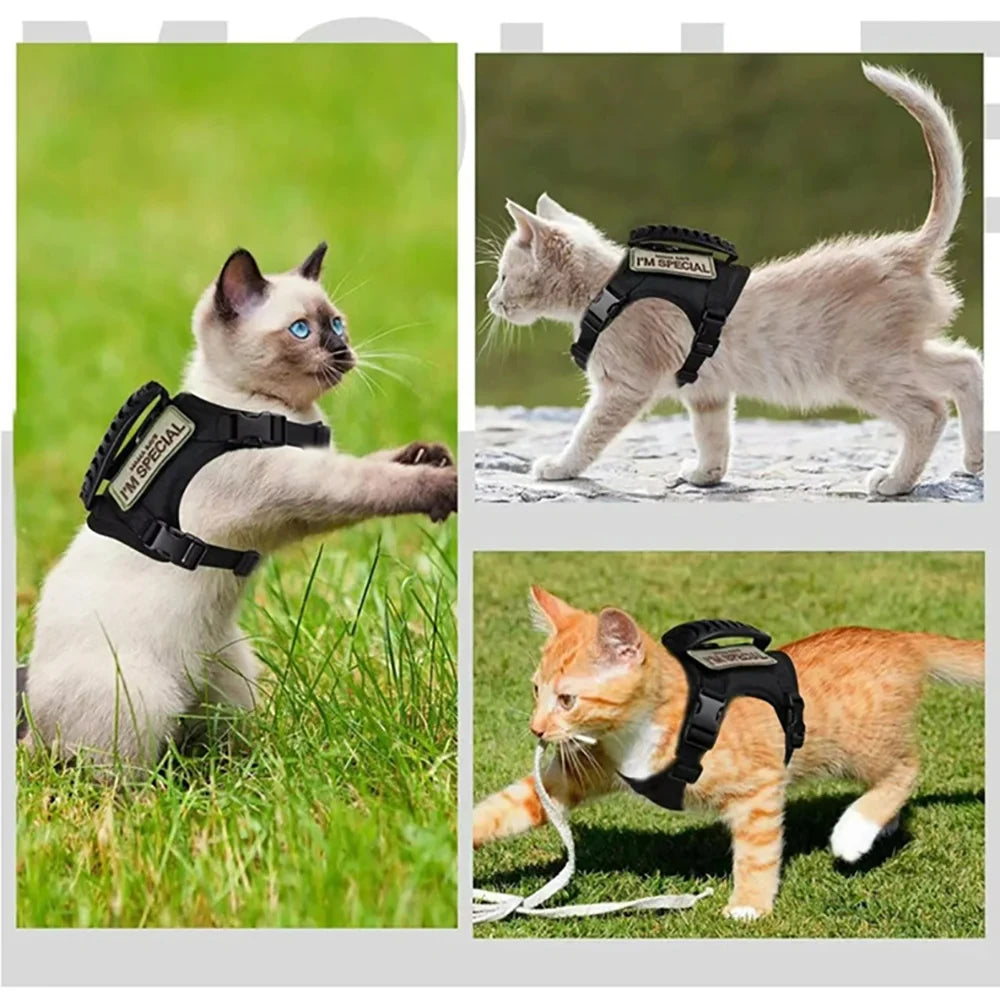 Harnais tactique pour chien, harnais pour chiot de petite race, gilet pour chat réglable pour Service militaire, accessoires pour chiens, entraînement et travail