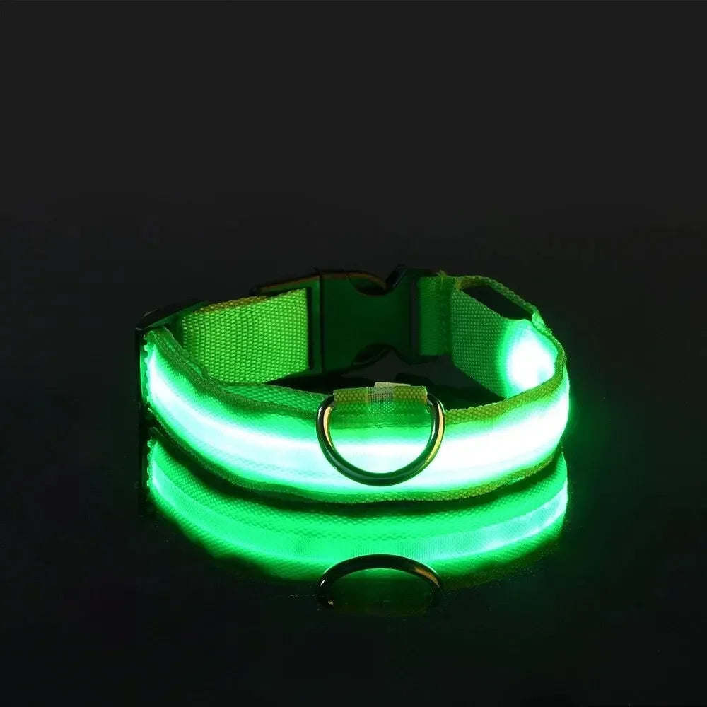 Collier LED lumineux pour chien, sécurité, marche nocturne, clignotant, lueur dans la nuit, collier à batterie pour chien, petit, moyen et grand chien