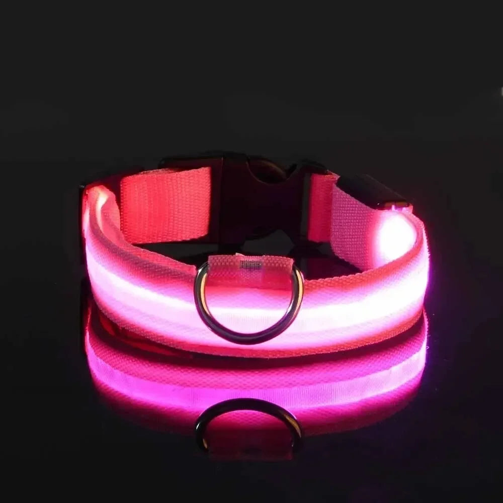 Collier LED lumineux pour chien, sécurité, marche nocturne, clignotant, lueur dans la nuit, collier à batterie pour chien, petit, moyen et grand chien