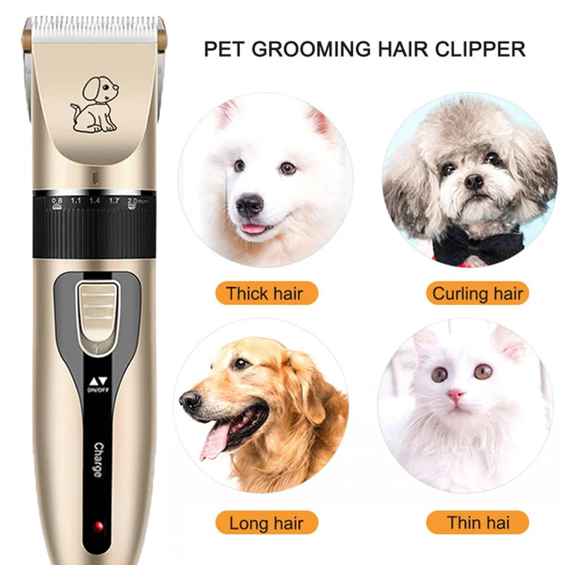 Tondeuse électrique de toilettage – Kit complet pour chiens & chats (3 modèles)