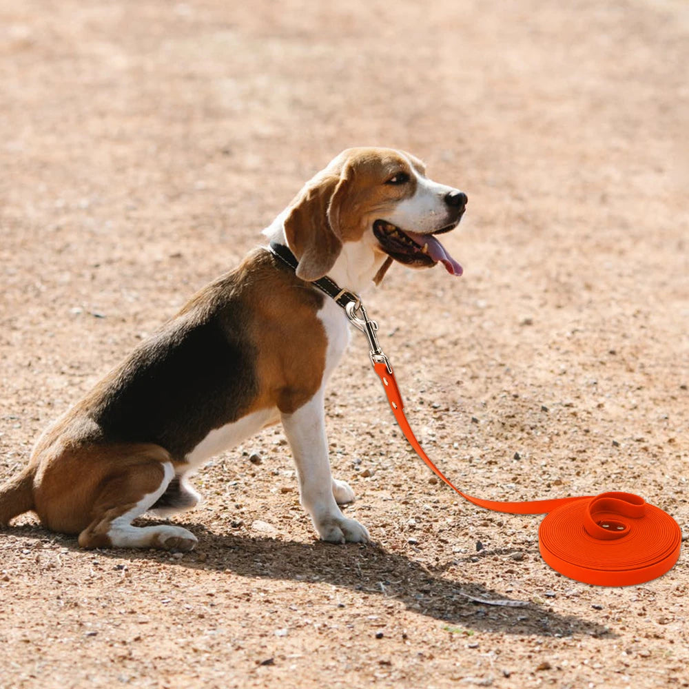 Laisse Longue Imperméable pour Chien – PVC Résistant, Facile à Nettoyer (3m, 5m, 10m, 15m)