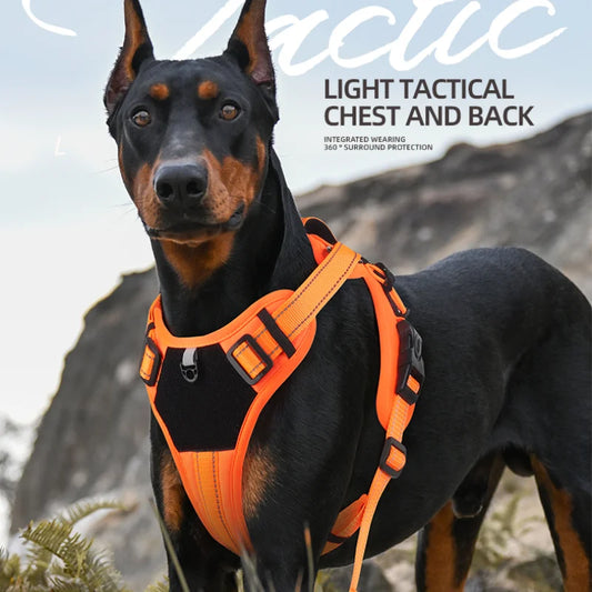 Harnais multifonction réfléchissant pour chien – Nylon réglable, confort & contrôle