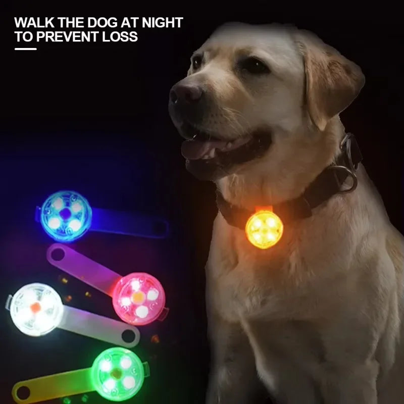 Collier pour chien, collier de perte, lumière de sécurité LED résistante aux intempéries, collier lumineux LED rechargeable par USB, chien, chat, animal de compagnie