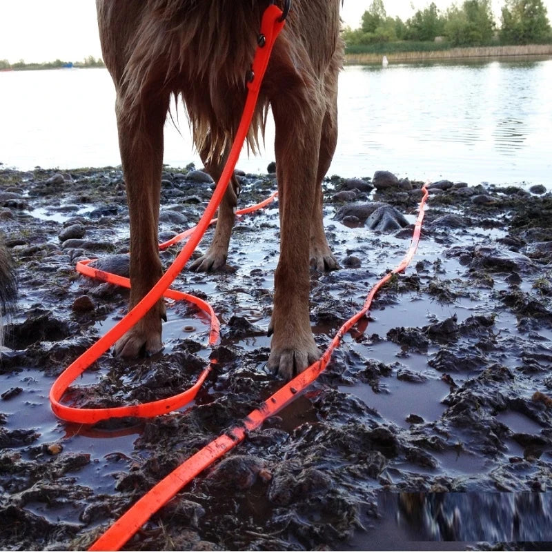 Laisse Longue Imperméable pour Chien – PVC Résistant, Facile à Nettoyer (3m, 5m, 10m, 15m)