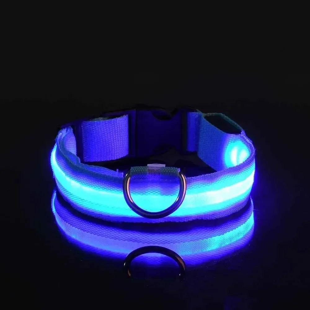 Collier LED lumineux pour chien, sécurité, marche nocturne, clignotant, lueur dans la nuit, collier à batterie pour chien, petit, moyen et grand chien