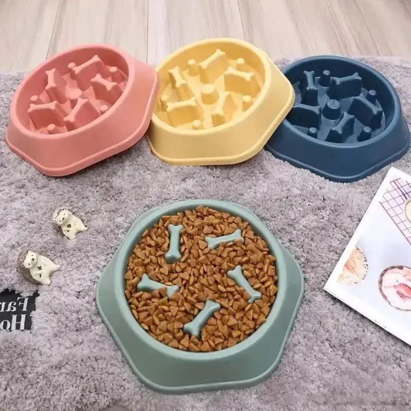 Gamelle Anti-Glouton pour Chiens – Mangeoire Lente & Anti-Étouffement