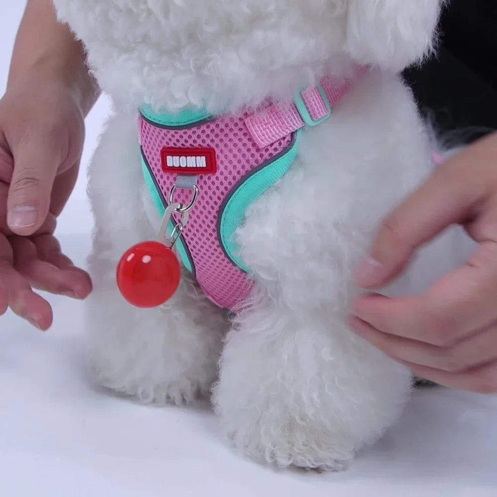 Harnais pour chien, gilet avec corde, harnais réfléchissant réglable pour animaux de compagnie, pour petits, moyens, anti-fuite, maille souple, respirant, marche, course à pied
