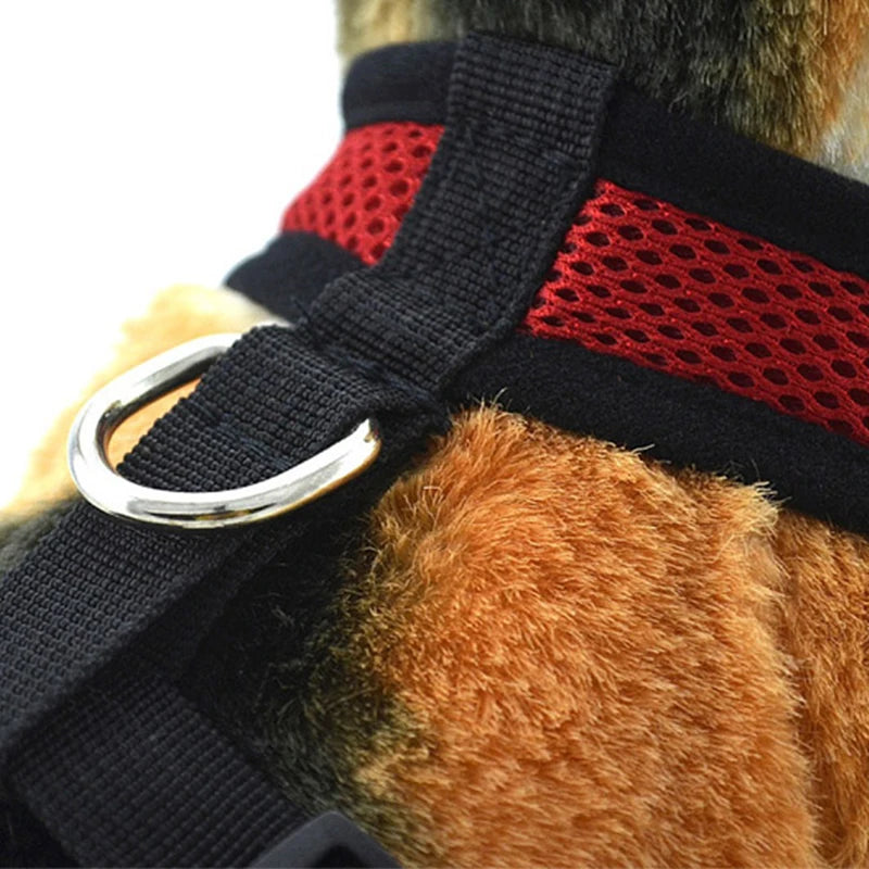 Harnais respirant et réglable pour petits chiens & chats. Confort, sécurité et légèreté pour vos promenades quotidiennes.”