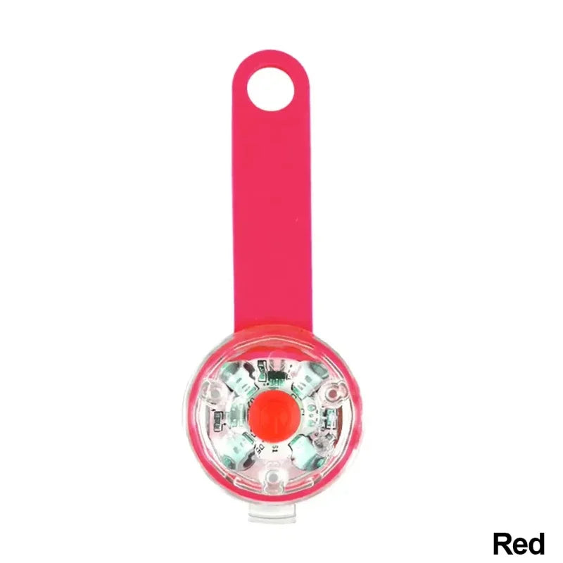 Collier pour chien, collier de perte, lumière de sécurité LED résistante aux intempéries, collier lumineux LED rechargeable par USB, chien, chat, animal de compagnie