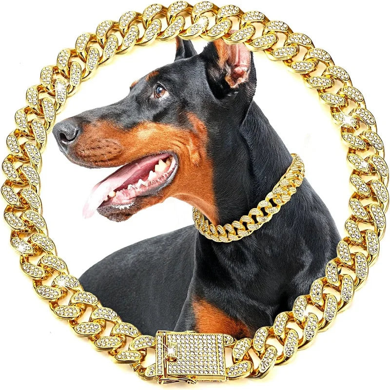 Collier Chaîne Doré de Luxe pour Chien – Résistant & Élégant