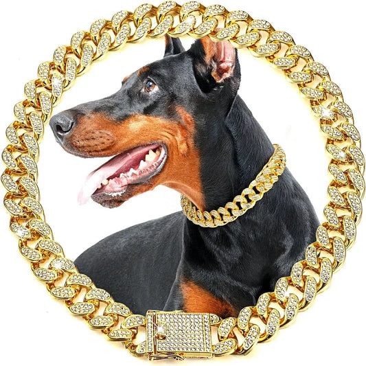 Collier Chaîne Doré de Luxe pour Chien – Résistant & Élégant